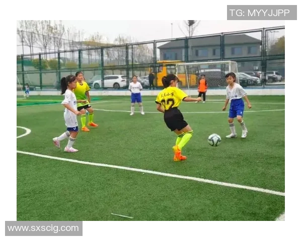 足球星辰海照耀绿茵梦想描绘激情岁月与荣耀征程